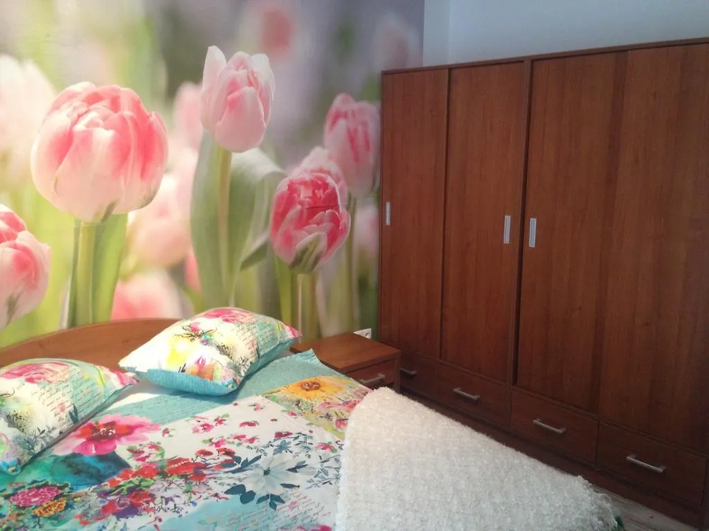 Apartments Casa Nostra Croatia